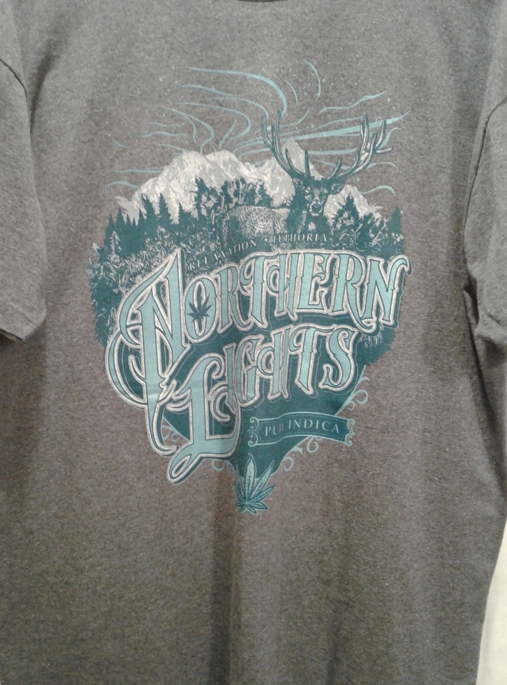 Northern Lights Men's SS T-shirt by Seven Leaf